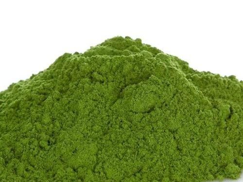 人類的新營養(yǎng)——葉蛋白